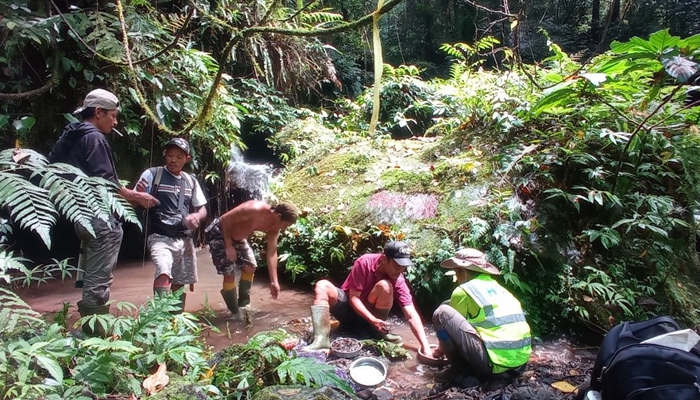 Field sample collection